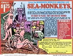 SEA MONKEYS Pictures, Images and Photos