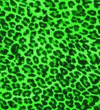 52lwq4w.jpg green leopard image by christinel88