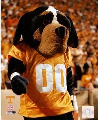 tennessee vols wallpaper. Tennessee Volunteers Image