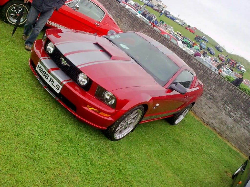 IMG_20130603_171942_zps83328f23.jpg