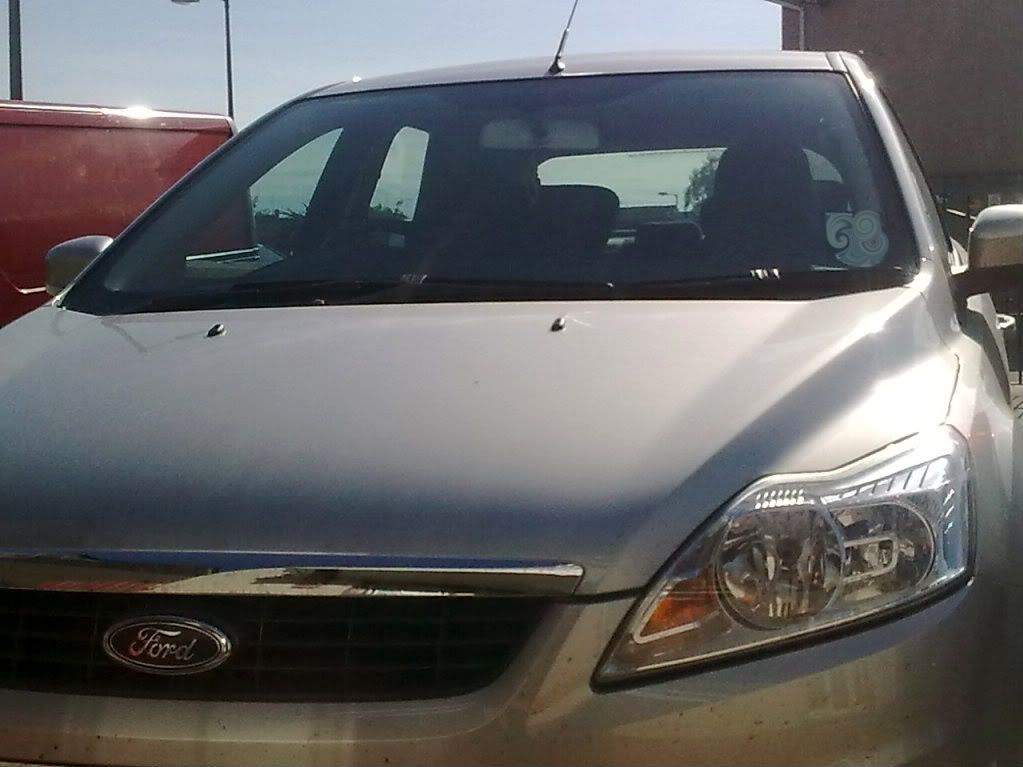 Posted Image