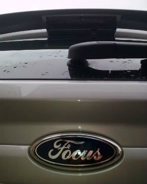 Coloured Ford Badges