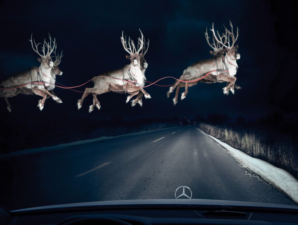 mercedes_reindeer_in_headlights-1.jpg