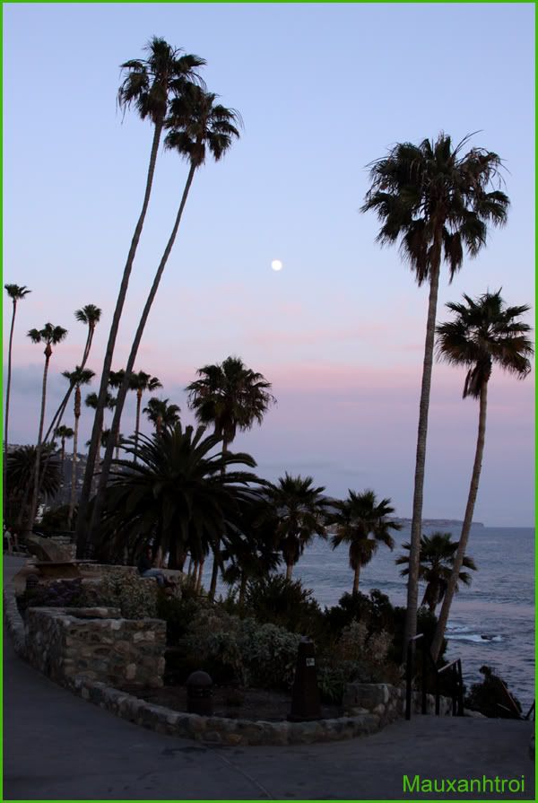 Laguna Beach