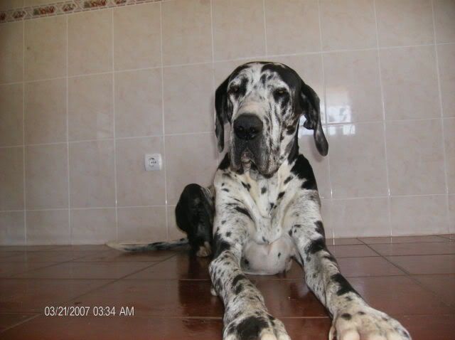 Imagem
