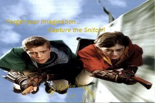 Cannon's Header 3 photo CannonsHeader3.jpg