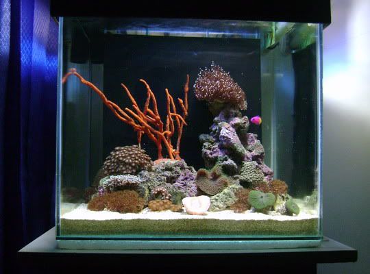 FTS09Nov2010-2.jpg