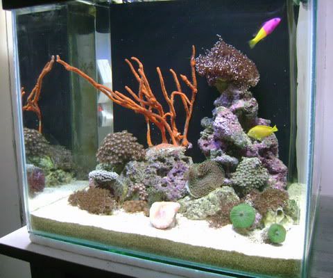 FTS09Nov2010.jpg