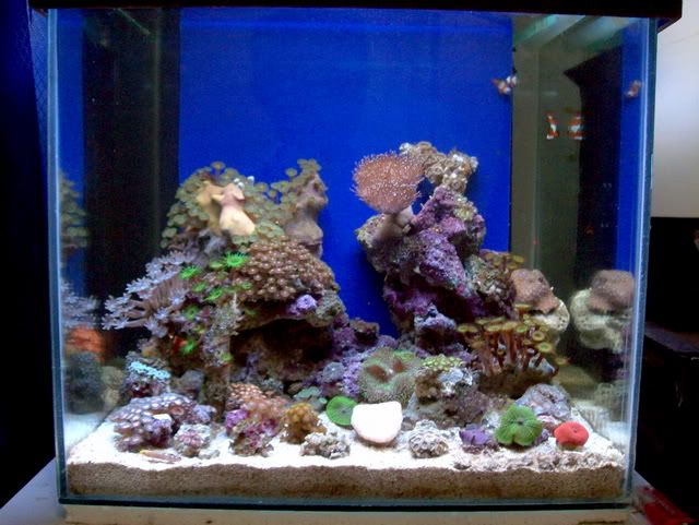 FTS1Feb2011.jpg