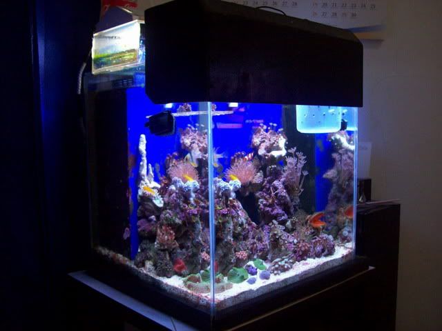 FTS20Mei2011.jpg