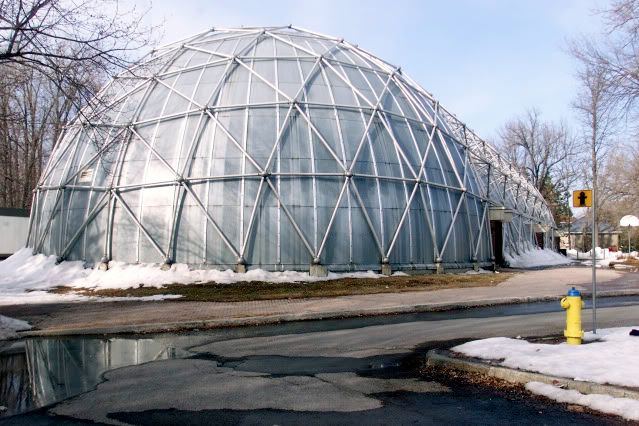 belltown dome