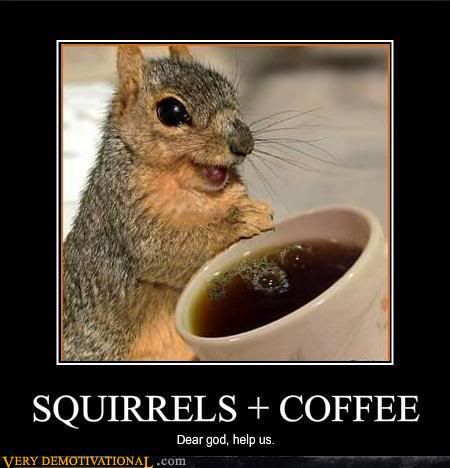 demotivational-posters-squirrels-coffee.