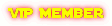 VIP Member VIP Member