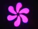 MiniLED_4.jpg MOVIN LED FOLDER 4 image by LUCKIMM