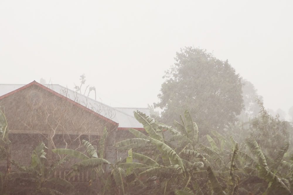 rain