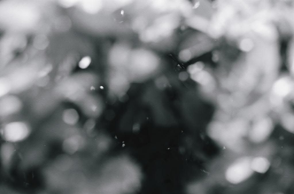  photo amyfilm12_zps5c7dcc3c.jpg