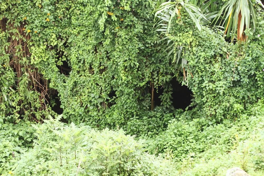 cave