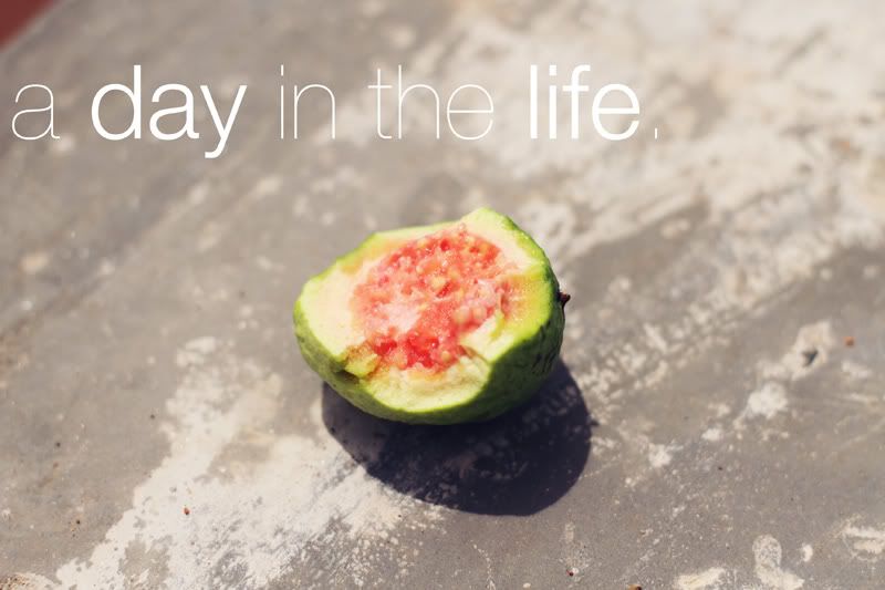 dayinthelife