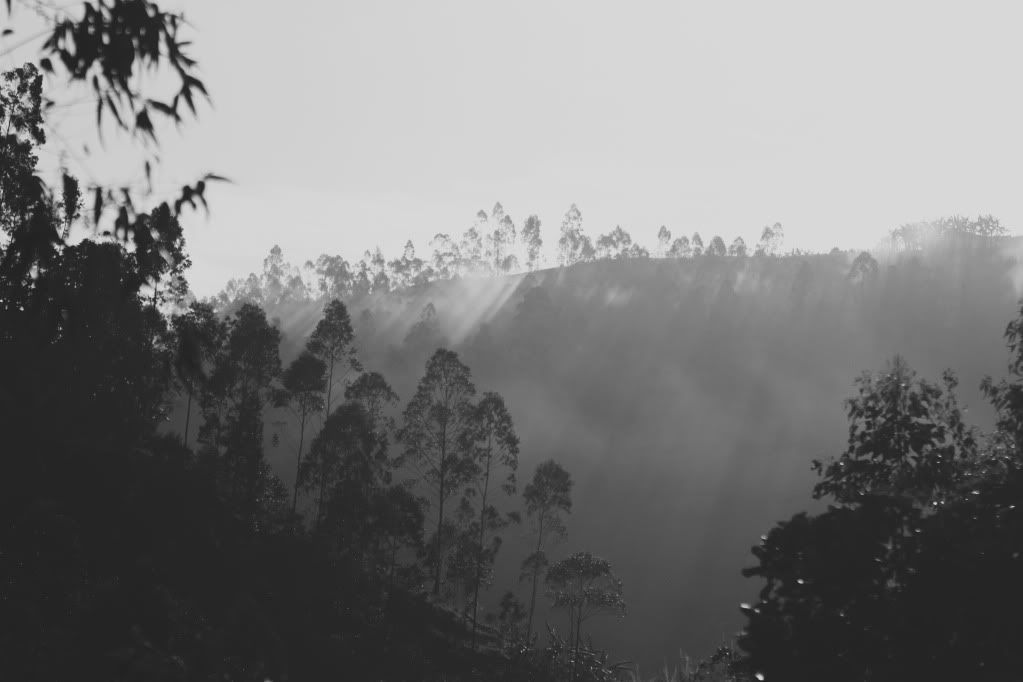rwanda
