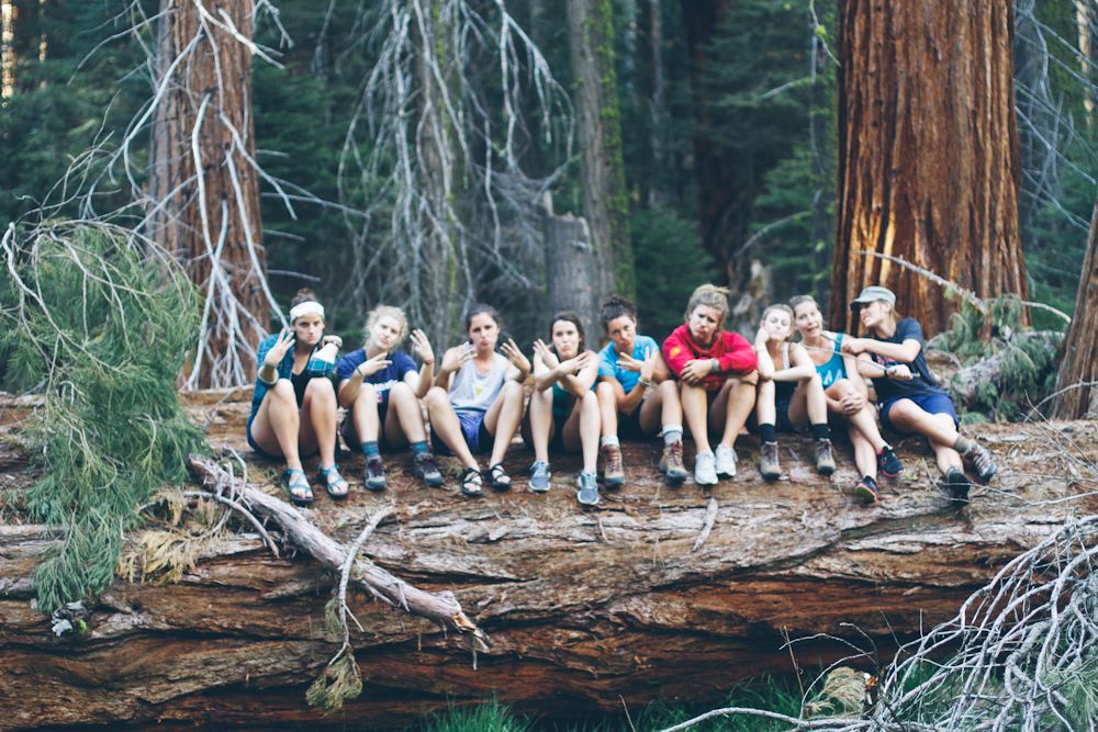  photo sequoia11_zpsa3ce9f29.jpg