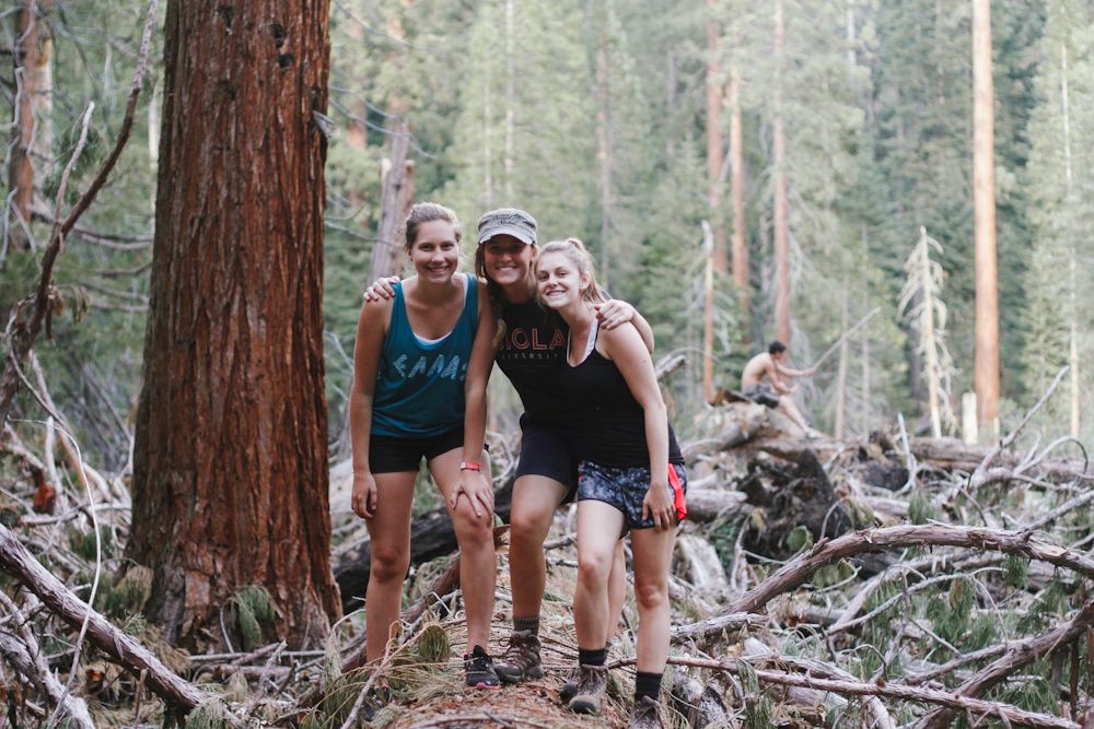  photo sequoia13_zps58d6e9b8.jpg