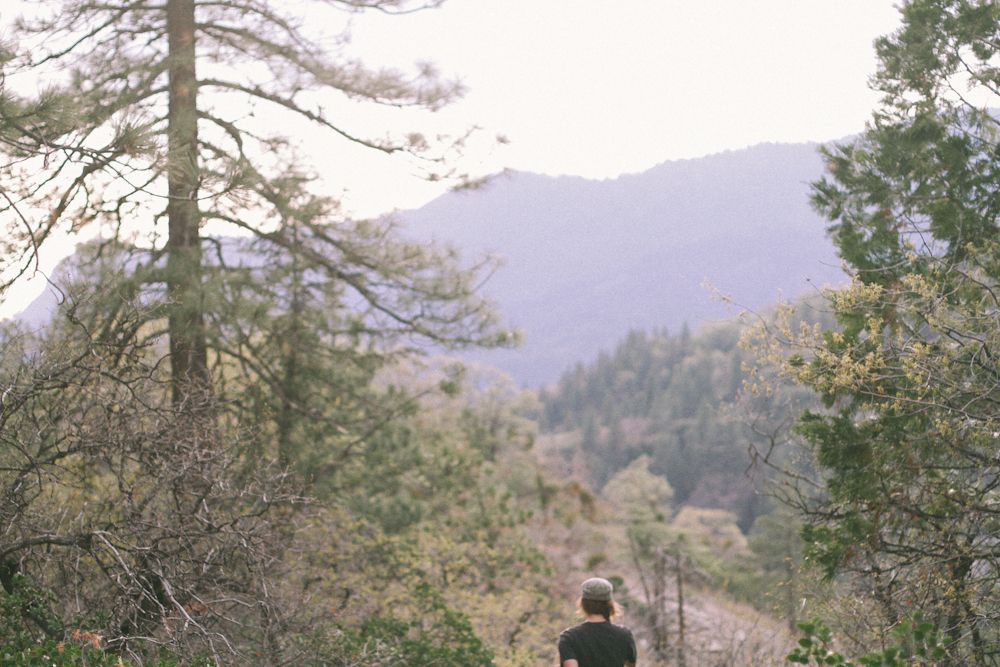  photo sequoia14_zps272a72c6.jpg