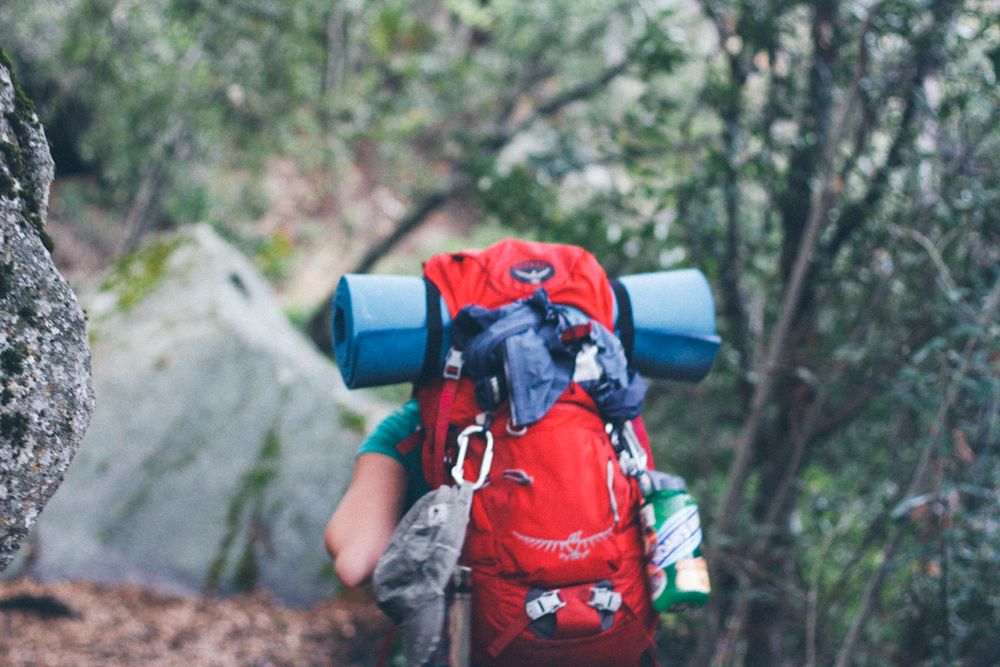  photo sequoia2_zps35357ff7.jpg