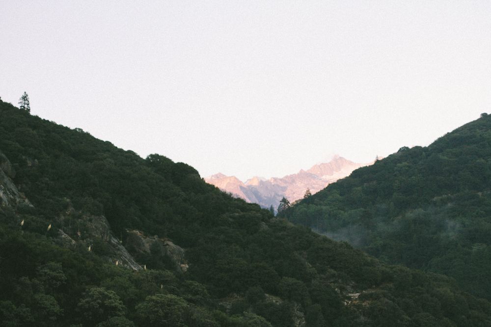  photo sequoia3_zps1a854f26.jpg