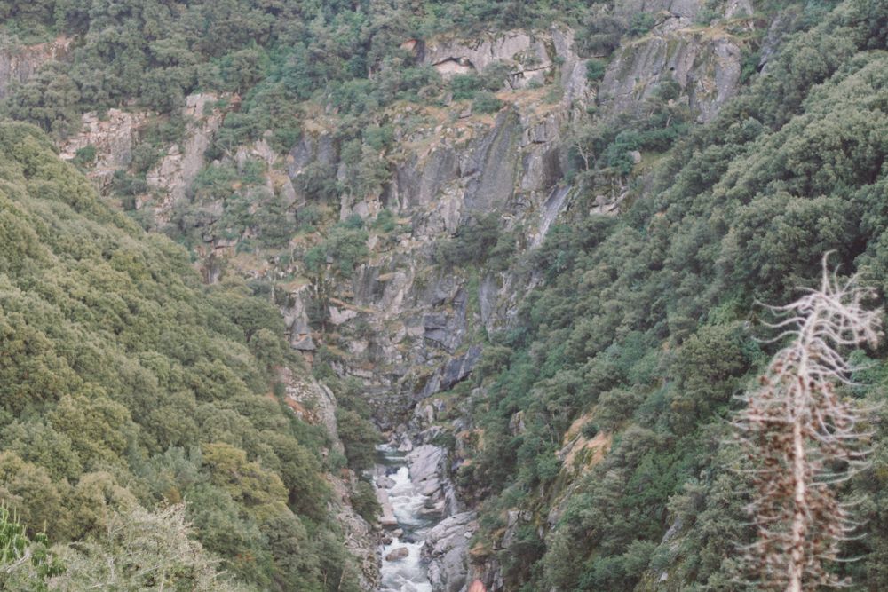  photo sequoia4_zpsdb6ec7ac.jpg