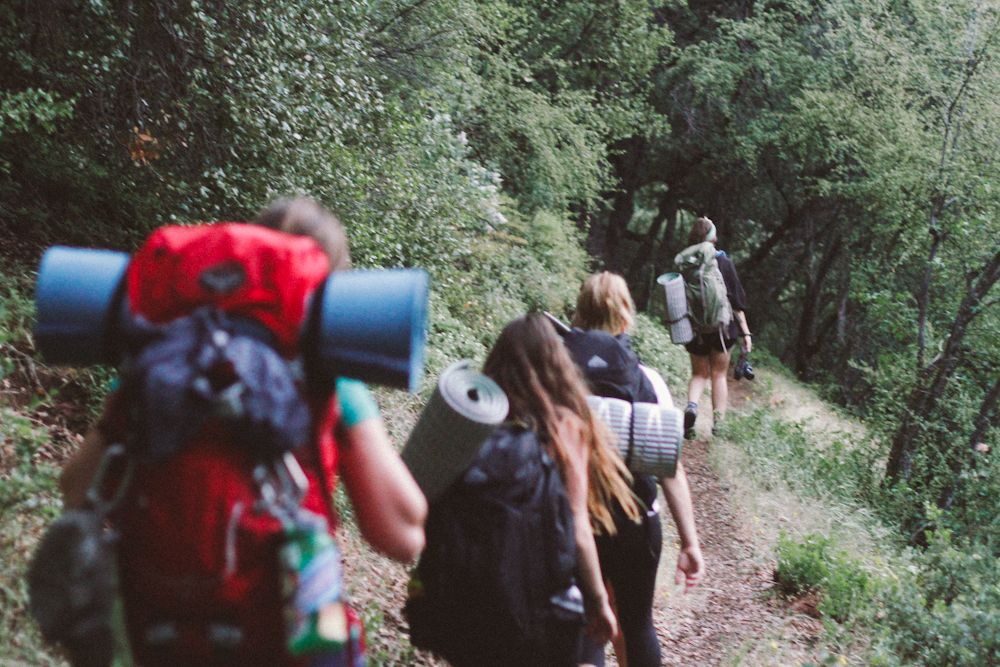  photo sequoia5_zps763d6623.jpg