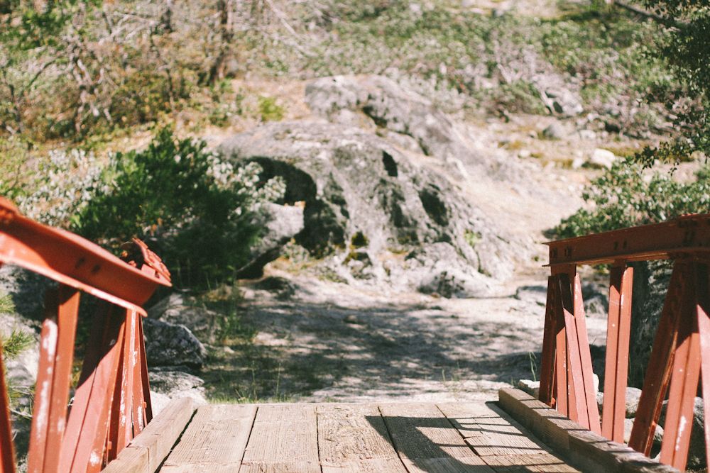  photo sequoia7_zps0c6acf1b.jpg