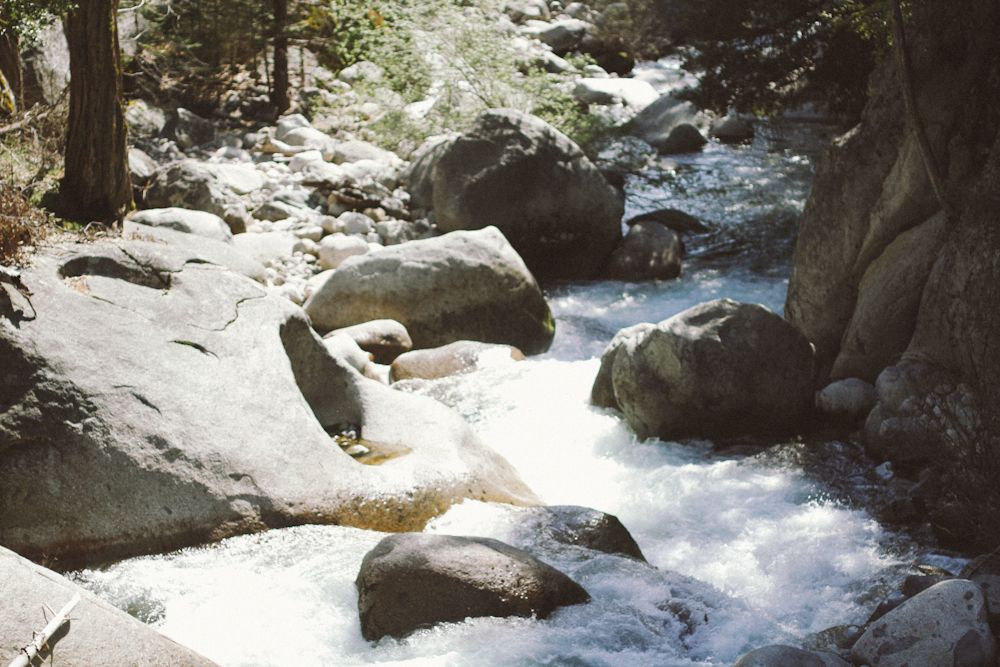  photo sequoia8_zps451796fc.jpg