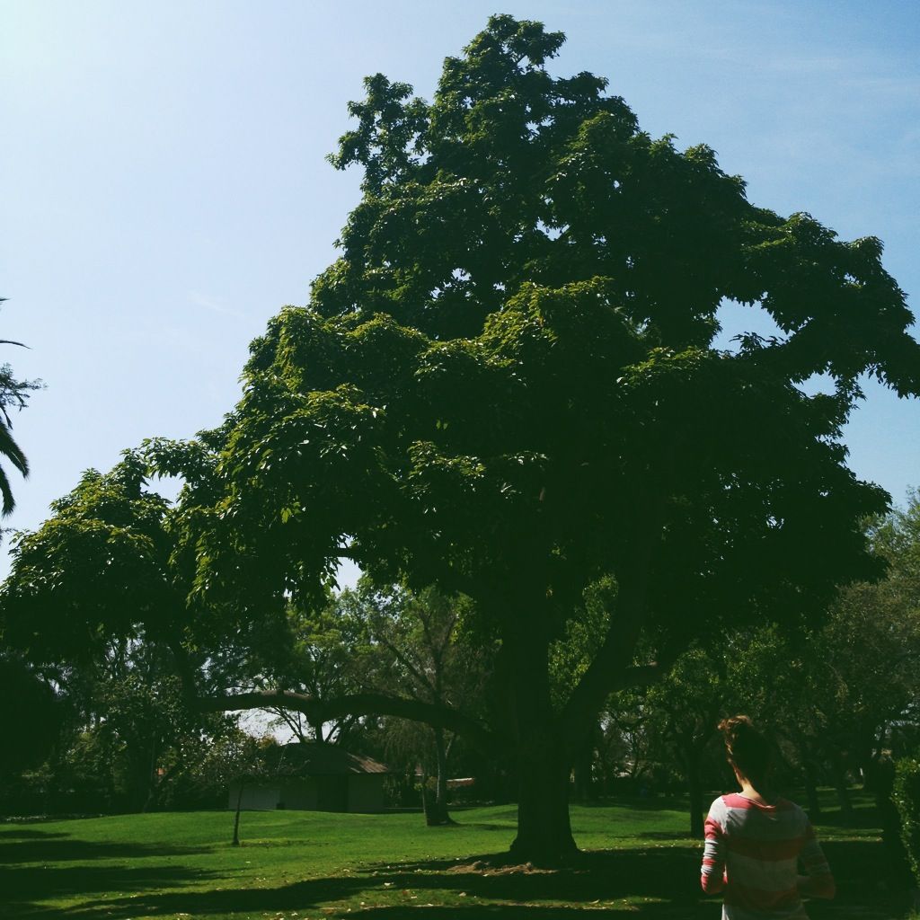  photo vsco1_zps8bd57bd0.jpg
