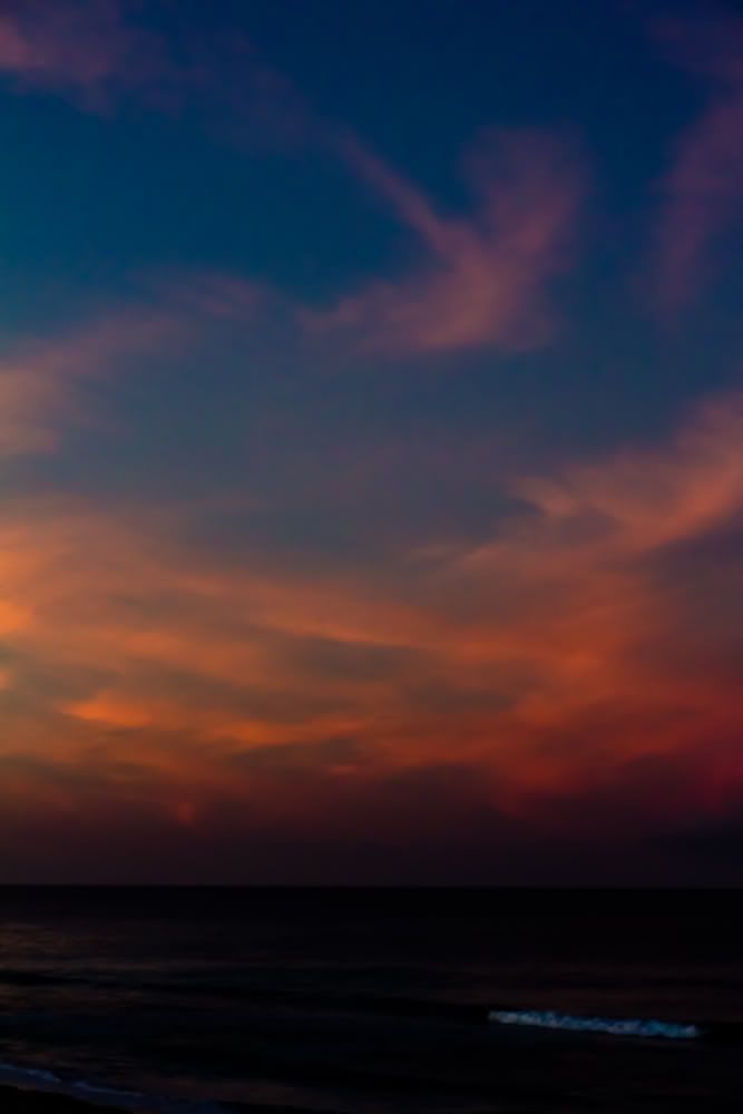 IMAGE: http://i575.photobucket.com/albums/ss196/priebra/POTN%20Links/_MG_2345-Edit.jpg