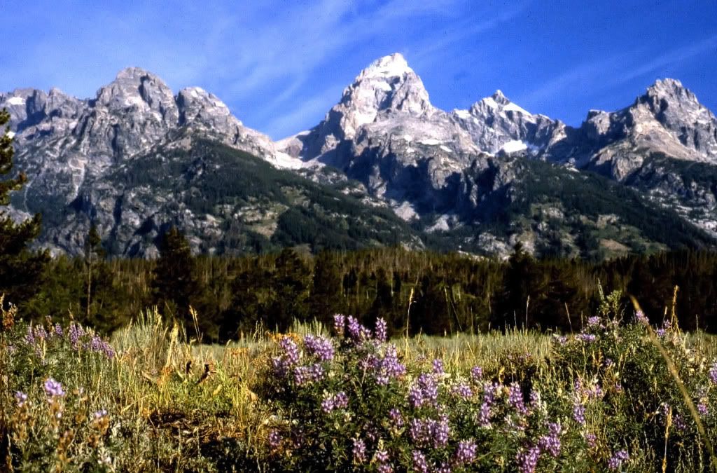 IMAGE: http://i575.photobucket.com/albums/ss196/priebra/Scans/Tetons1copy_1024.jpg