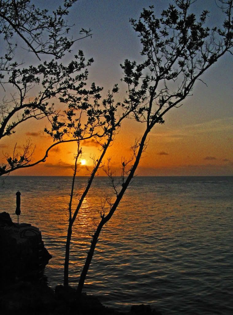 IMAGE: http://i575.photobucket.com/albums/ss196/priebra/Sunsets/Jamaican-Sunset.jpg