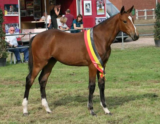 Have Patience van het Westhof