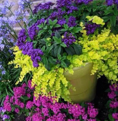 Uploaded from the Photobucket iPhone App