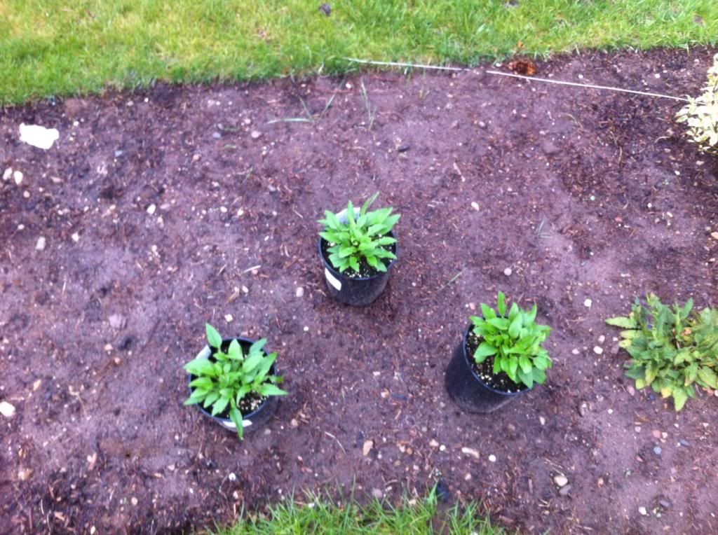  photo photo1-1-1.jpg