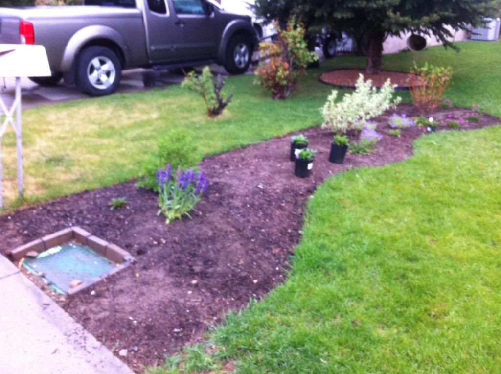  photo photo2-1-1.jpg