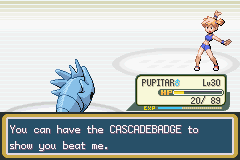 [PokeCommunity.com] 3rd Generation Duo Run